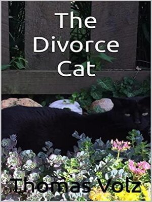 cover image of The Divorce Cat